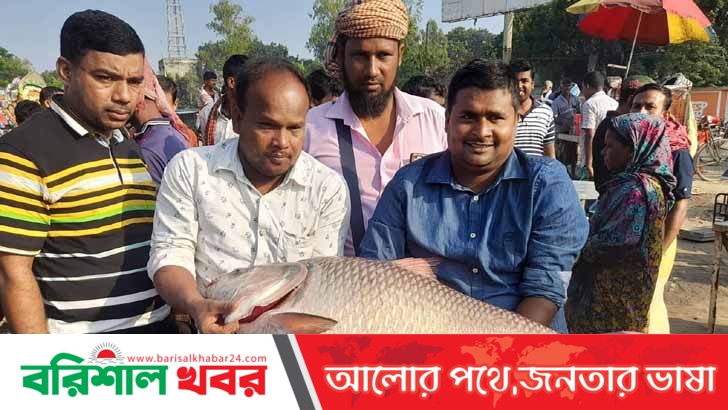 ২১ কেজির পদ্মার কাতল ২৮ হাজার টাকায় বিক্রি