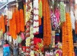 ১০ টাকার গোলাপ ১০০ টাকা বরিশালে জমজমাট ফুলের ব্যবসা