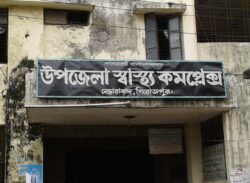 একসঙ্গে পাঁচ সন্তানের জন্ম, আধা ঘণ্টায় মারা গেল সবাই